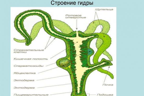 Ссылка на омгомг omgomgomg5j4